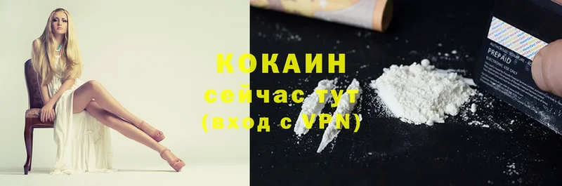 цены наркотик  Поронайск  Cocaine Эквадор 