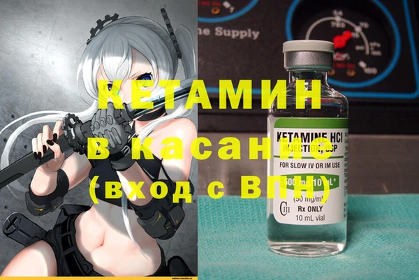 сатива Нефтекумск