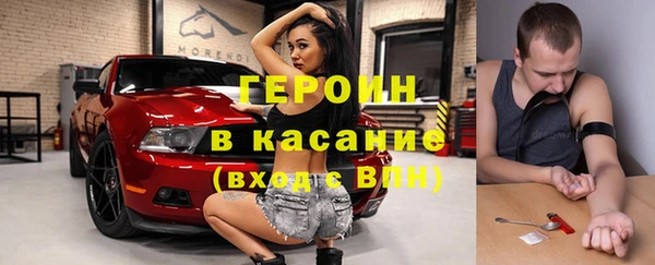 индика Надым