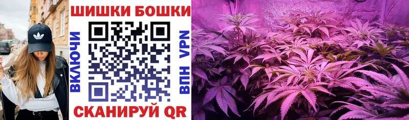 Конопля сатива  Поронайск 